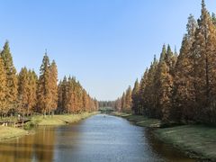 -黄海国家森林公园