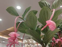 -第六季自助餐厅(北太平庄店)