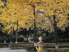 -重庆彩云湖湿地公园
