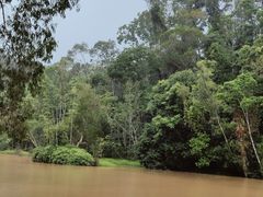 -热带雨林自然公园
