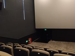 -万象影城(石家庄万象城IMAX激光店)