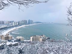 -山东大学(威海校区)