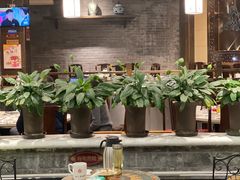 -红鼎坊·老成都火锅(新南门店)