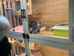 -PETKIT小佩宠物(昭化店)