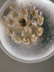-深圳阳光医疗美容医院·旗舰店