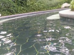 -海兰云天度假区温泉