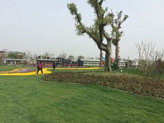 -南通鲜花小镇