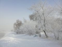 -雾凇岛