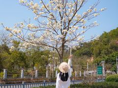 -红山村