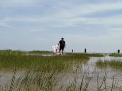 -南汇嘴观海公园