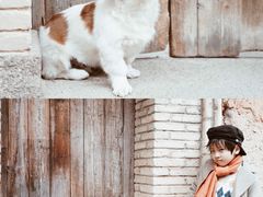 -中国庆元廊桥博物馆