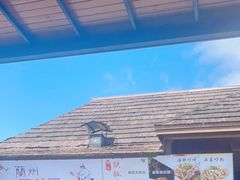 -亚龙湾热带天堂森林公园