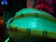 -沈阳海洋探索中心