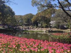 -无锡梅园公园