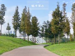 -眉山湿地公园(东坡区)