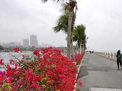 -霞山观海长廊