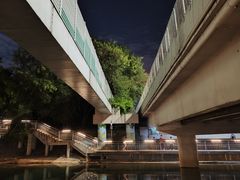 -福田红树林生态公园