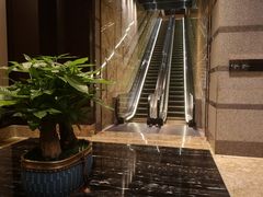 -成都保利公园皇冠假日酒店(熊猫基地店)