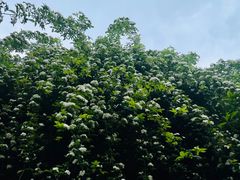 -府河摄影公园