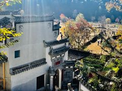 -塔川景区