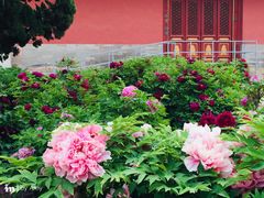 -大钟寺古钟博物馆