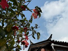 -小喜客·云南特色菜(纳西庭院店)