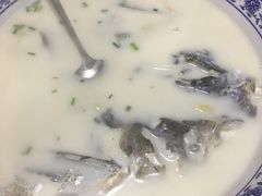 -全乐鱼馆·淳牌有机鱼直营店