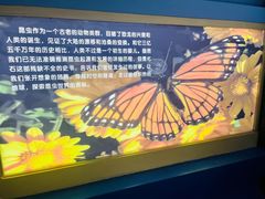 -上海昆虫博物馆