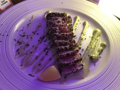 炙烧金枪鱼-盐说Salt Talk北美风味西餐厅(海上世界店)