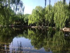 -玲珑塔公园