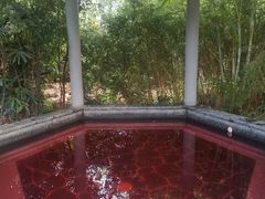 -清远熹乐谷温泉度假酒店