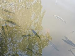 -苏堤停车场