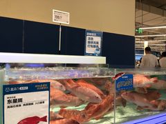 -盒马X会员店(上海森兰商都店)