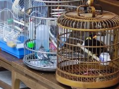 -蘭奢雅集·江浙菜(青山江滩店)