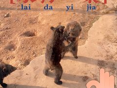 -泉州海丝野生动物世界