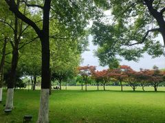 -橘子洲景区