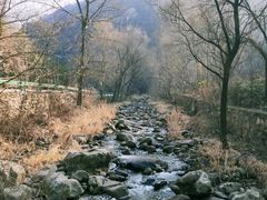 -秦岭风景区