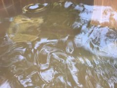 -三亚珠江南田温泉度假区