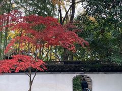 -秋霞圃