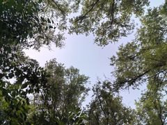 -沈阳鸟岛