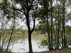 -梁鸿国家湿地公园