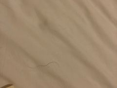 -锦江之星(南京新街口店)