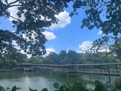 -河川生态园