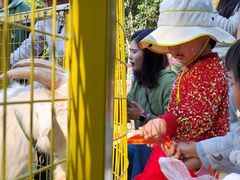 -杭州开元森泊度假乐园