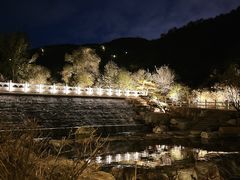 -蒙山大佛景区