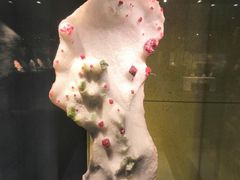-中华赏石园