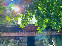 -雨花胜境