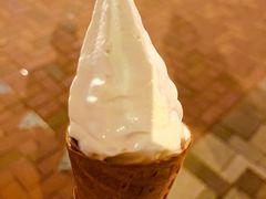 -富豪雪糕车流动点(尖沙咀店)