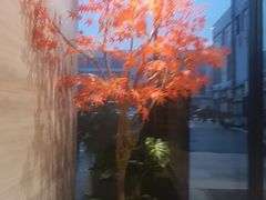 -唐宫足道·SPA·住宿24H会所(木渎店)