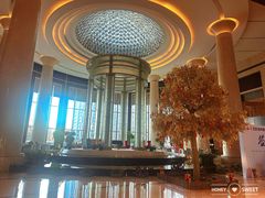 -新都绿城喜来登酒店大堂吧